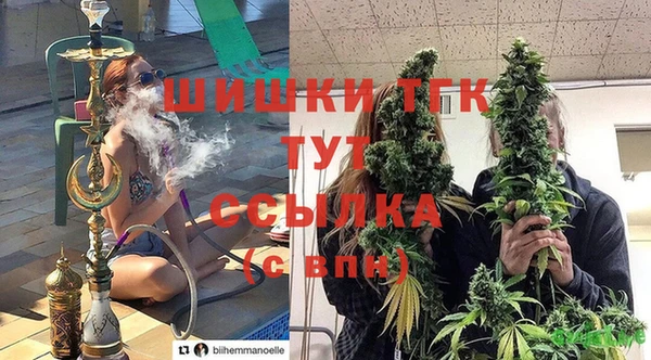 тгк Ладушкин