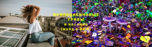 тгк Ладушкин