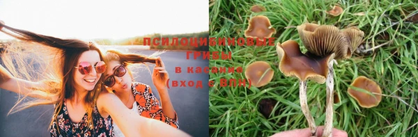 mdma Лагань