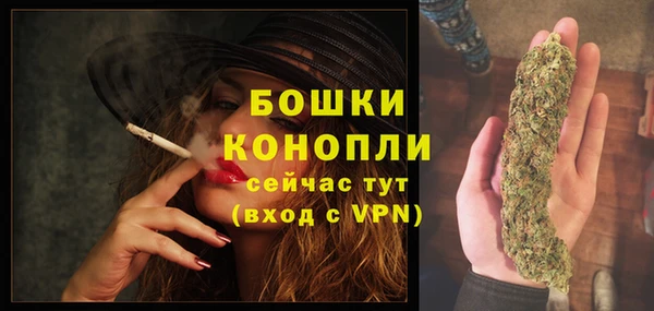 тгк Ладушкин