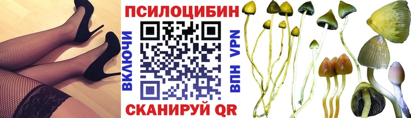 наркотики  Урус-Мартан  Галлюциногенные грибы мицелий 