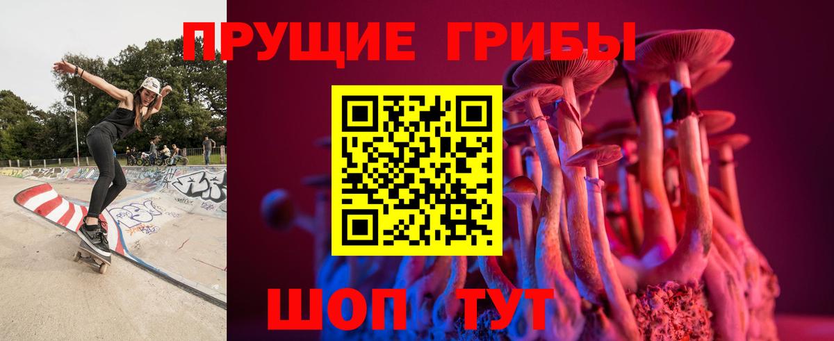 Псилоцибиновые грибы Cubensis Урус-Мартан